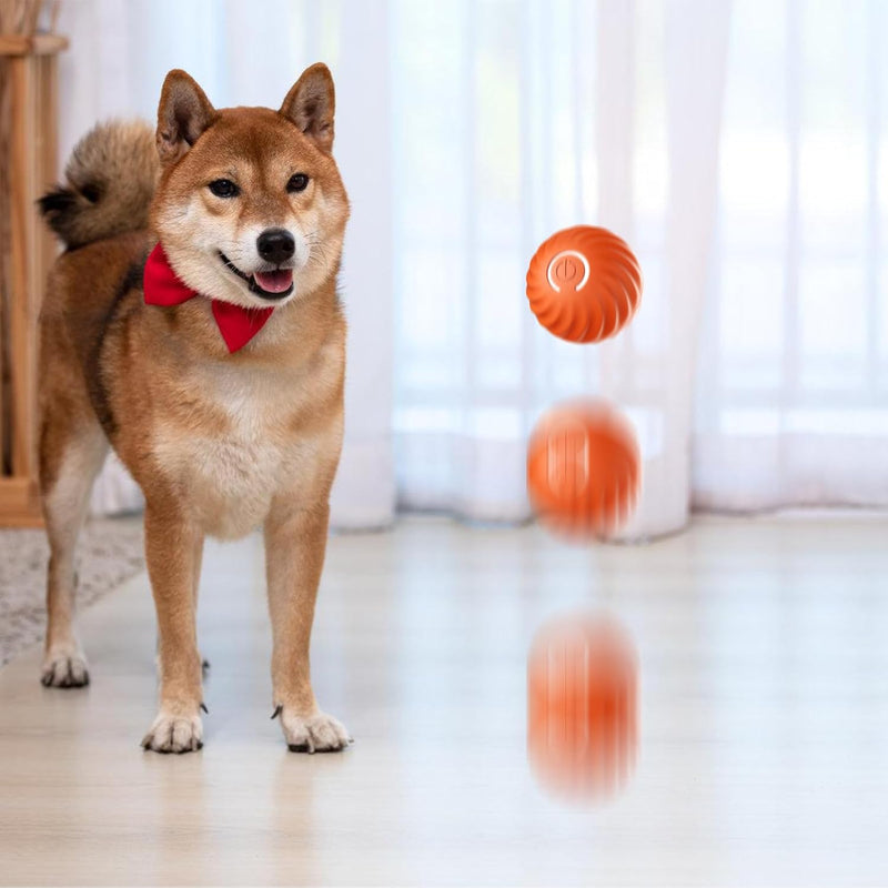 Bola Interativa Inteligente para Cães e Gatos *20,99€ SÓ HOJE*