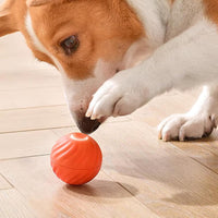 Bola Interativa Inteligente para Cães e Gatos *20,99€ SÓ HOJE*