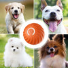 Bola Interativa Inteligente para Cães e Gatos *20,99€ SÓ HOJE*