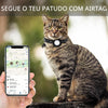 Coleira Rastreadora com Airtag para Gatos